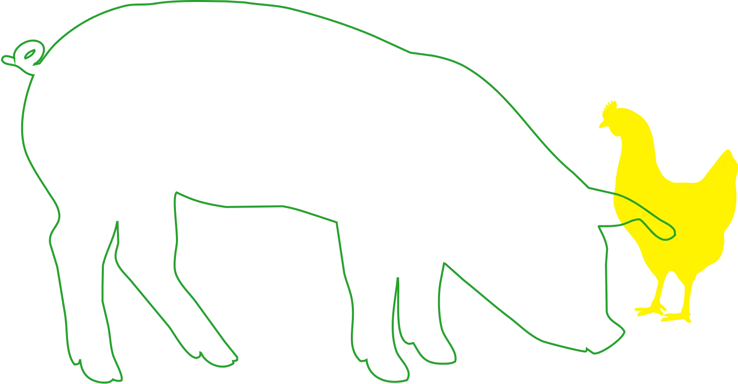 Pig and Chicken
